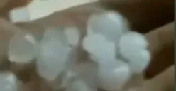 Warga memperlihatkan butiran es yang jatuh bersama hujan besar disejumlah wilayah di Kabupaten Bogor pada Sabtu, 3 Mei 2025. (Sumber: Capture Instagram @Bogor_update)