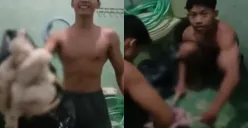 Sejumlah atlet binaraga di Malang mengonsumsi ayam tiren untuk memenuhi kebutuhan proteinnya. (Sumber: Tangkap Layar X/@Heraloebs)