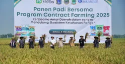 Pemprov Jakarta bekerjasama dengan Pemkab Karawang memperkuat pasokan beras melalui program Contract Farming. (Sumber: Kominfotik)
