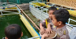 Anak-anak di sekolah alam terlihat gembira saat belajar di luar. Mereka bisa berinteraksi langsung dengan tanaman, ikan, hingga hewan ternak. (Sumber: Poskota/Nurpini Aulia Rapika)