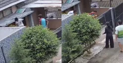 Momen dua anak diserang kawanan tawon di Bandung. (Sumber: Tangkap Layar Instagram/@medsoszone)