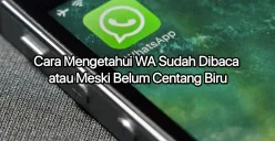 Cara mengetahui chat WhatsApp sudah dibaca atau belum. (Canva)