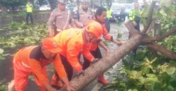 Pohon tumbang di Jalan Daan Mogot, Cengkareng, Jakarta Barat, Minggu, 11 Mei 2025. (Sumber: Dok. BPBD Jakarta)
