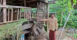 Tukiran, warga Depok, menunjukan kandang tempat kambing yang dicuri dan disisakan isi jeroannya, Senin, 12 Mei 2025. (Sumber: Poskota/Angga Pahlevi)