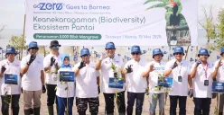 Penanaman 5.000 bibit mangrove pada acara GoZero% Goes to Borneo di Tarakan, Kalimantan Utara.