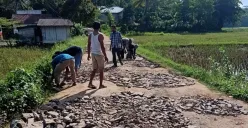 Sejumlah warga Kampung Jaha, Desa Kadubelang, Kecamatan Mekarjaya, Kabupaten Pandeglang, saat melakukan perbaikan jalan secara swadaya, Jumat, 16 Mei 2025. (Sumber: Dok. Warga)