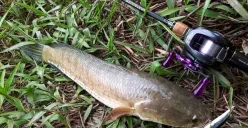 Rekomendasi Joran Pancing 100 Ribuan Berkualitas untuk Pemancing Hemat (Sumber: Pinterest)
