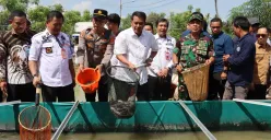 Pemkab Tangerang menggelar kegiatan Panen Raya sekaligus mencanangkan Desa Gandaria sebagai Kampung Budidaya Perikanan kepada Keluarga Risiko Stunting, Sabtu, 17 Mei 2025. (Sumber: Bagian Protokol dan Komunikasi Pimpinan Setda Kabupaten Tangerang)