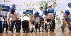 PT Telkom Indonesia (Persero) Tbk melakukan penanaman mangrove dalam kegiatan “GoZero% Goes to Borneo” di Pantai Batu Perawan, Tarakan, Kalimantan Utara. (Sumber: PT Telkom Indonesia (Persero) Tbk)