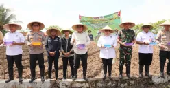 Pemerintah Kabupaten Tangerang menggencarkan Aksi Gerakan tanam jagung hibrida di Desa Buniayu, Kecamatan Sukamulya pada Sabtu, 24 Mei 2025. (Sumber: Setda Kabupaten Tangerang)