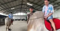 Raffi Ahmad saat mengunjungi peternakan milik Irfan Hakim, memilih sapi kurban jelang Iduladha 2025. (Sumber: TikTok/@nizarr027)