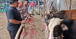 Nahrowi alias Awi Ireng (peci hitam), pedagang Hewan kurban H Manin HS di Cinere, Depok. (Sumber: POSKOTA | Foto: Angga Pahlevi)