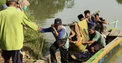 Sejumlah warga Kampung Ciluluk, Desa Leuwibalang, Kecamatan Cikeusik, Kabupaten Pandeglang, saat menandu pasien dari perahu kayu. (Sumber: Dok. Warga)
