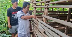 Fadilah (kanan) bersama warga menunjukan lokasi kandang kambing miliknya yang dirusak pelaku pencurian. (Sumber: POSKOTA | Foto: Angga Pahlevi)