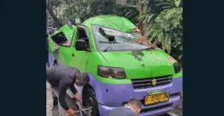 Kondisi angkot yang ringsek tertimpa pohon tumbang di Jalan Raya Pajajaran, Kota Bogor. (Sumber: Dok BPBD Kota Bogor)