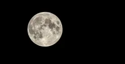 Daftar fenomena astronomi November 2025. (Sumber: Freepik)