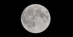 Puncak Supermoon Beaver malam ini, catat waktunya. (Sumber: Pexels/Peter De Vink)