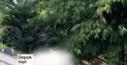 Penemuan jasad pria di Kali Cisalak Depok dalam kondisi telanjang (Sumber: Instagram @depokhariini dan depok24jam)