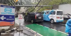Pohon tumbang di Cipinang Cempedak, Jatinegara, Jakarta Timur, Kamis, 20 November 2025. (Sumber: Istimewa)