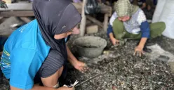Aktivitas pengupasan kulit kerang di RW 22 Kelurahan Muara Angke, Kecamatan Penjaringan, Jakarta Utara, Sabtu, 22 November 2025. (Sumber: POSKOTA | Foto: Pandi Ramedhan)