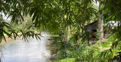 Situasi bantaran Kali Ciliwung, Pengadegan, Jakarta Selatan, Senin, 24 November 2025. (Sumber: Poskota/M. Tegar Jihad)
