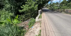 Lokasi penemuan kerangka Alvaro di Jalan Raya Tenjo-Jasinga, Kampung Cikadu Blokmede, Desa Singabraja, Kecamatan Tenjo, Kabupaten Bogor, Senin, 24 November 2025. (Sumber: Poskota/Giffar Rivana)