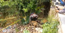 Anjing K9 dikerahkan untuk mencari sisa tulang Alvaro di pinggir Kali Cilalay, Desa Singabra, Kecamatan Tenjo, Kabupaten Bogor, Rabu, 26 November 2026. (Sumber: Dok. Istimewa)