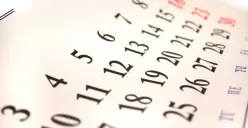 Apakah Besok Libur? Status Resmi 28 November 2025 dan Daftar Peringatannya (Sumber: Pinterest)