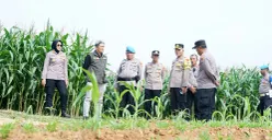 Jajaran Polres Metro Bekasi meninjau lahan jagung milik Polda Metro Jaya di Kampung Tembong Gunung, Desa Sukamahi, Cikarang Pusat, Kabupaten Bekasi, Kamis 27 November 2025. (Sumber: Dok Humas Polres Metro Bekasi)