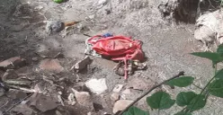 Lokasi mayat bayi perempuan terbungkus plastik di kawasan Kembangan, Jakarta Barat, Jumat, 28 November 2025. (Sumber: Dok. Istimewa)