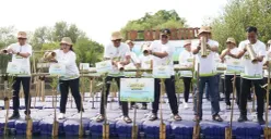 PLN, Pemkot Jakut, dan Distamhut Jakarta melepas bibit kepiting ke kawasan mangrove Hutan Lindung Angke Kapuk. (Sumber: Dok. PLN UID Jaya)