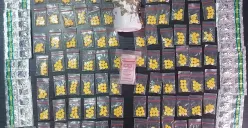 Barang bukti ratusan butir pil tramadol dan hexymer dari tersangka EA. (Sumber: Dok. Humas Polresta Serang)
