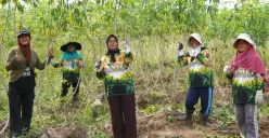 Program Agroforestri diinisiasi TNI AD di Baturaja, Kabupaten OKU, Sumatera Selatan, membawa dampak positif bagi ketahanan pangan. (Sumber: Dok. Istimewa)