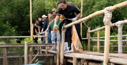 Bank Mandiri bersama karyawan dan relawan turun langsung membersihkan sampah di kawasan mangrove dalam kegiatan Aksi Bersih Mandiri yang digelar serentak di 27 titik strategis seluruh Indonesia. (Sumber: Istimewa)