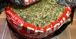 Barang bukti ganja yang diamankan oleh Satresnarkoba Polres Metro Bekasi Kota di wilayah Harapan Jaya, Kecamatan Bekasi Utara, Kota Bekasi. (Sumber: Dok Polres Metro Bekasi Kota)