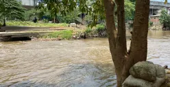 Bantaran Kali Ciliwung dikhawatirkan meluap saat hujan deras. (Sumber: Poskota/M. Tegar Jihad)