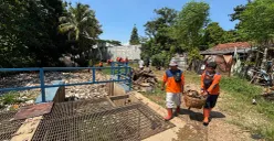 Petugas tim reaksi cepat DLH Kabupaten Bogor membersihkan sampah irigasi Setu Cikaret. (Sumber: Poskota/Giffar Rivana)