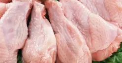 Harga daging ayam Oktober 2025 (Sumber: Pinterest)