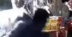 Cuplikan video sekelompk pelajar lari terbirit-birit hingga merangkak masuk ke sebuah warung Madura di Jalan Raya Semeru, Grogol Petamburan, Jakarta Barat pada Kamis, 23 Oktober 2025 sore. (Sumber: Istimewa)