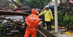 Insiden pohon tumbang timpa mobil di Dharmawangsa, Jakarta Selatan pada Kamis, 30 Oktober 2025. (Sumber: X/@TMCPoldaMetro)