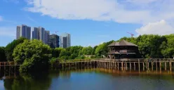 Hutan Mangrove PIK, destinasi ekowisata yang menjaga keseimbangan ekosistem pesisir Jakarta. (Sumber: Pinterest/@Selika)