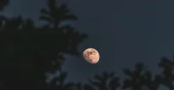 Ilustrasi. Fenomena Gerhana Bulan Total atau yang populer disebut Blood Moon akan menghiasi langit Indonesia pada 7 hingga 8 September 2025. (Sumber: Freepik/wirestock)