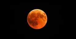 Fenomena Gerhana Bulan total diprediksi akan terjadi pada tanggal 7 hingga 8 September 2025. (Sumber: Freepik/wirestock)