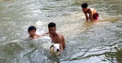 Sejumlah remaja saat memandikan kambing di Kali Cikarang, Kampung Tanah Baru, Kabupaten Bekasi, Minggu, 7 September 2025, salah satunya dilaporkan tenggelam. (Sumber: Dok Polsek Cikarang Utara)