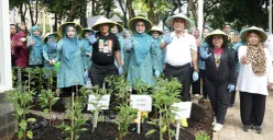 Kegiatan tanam serentak yang dilakukan oleh Pemkot Jakarta Barat. (Sumber: Istimewa)