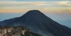 Cara ikut open trip ke Gunung Pangrango (Sumber: Unsplash/Alvian Hasby)
