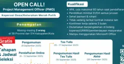 Link pengumuman hasil seleksi rekrutmen PMO Kemenkop 2025 (Sumber: Kemenkop)