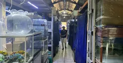 Kondisi Pasar Radio Dalam, Jalan Pasar Inpres, Gandaria Utara, Kebayoran Baru, Jakarta Selatan, terlihat sepi pengunjung, Minggu, 14 September 2025. (Sumber: Poskota/Pandi Ramedhan)
