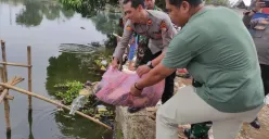 Polisi, TNI, dan masyarakat menebar ribuan benih ikan ke Situ Tonjong, Kabupaten Bogor, Minggu, 14 September 2025. (Sumber: Poskota/Angga Pahlevi)