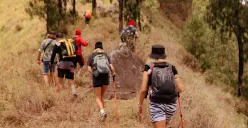 Ilustrasi trekking di Bogor. (Sumber: Freepik/alexeyzhilkin)